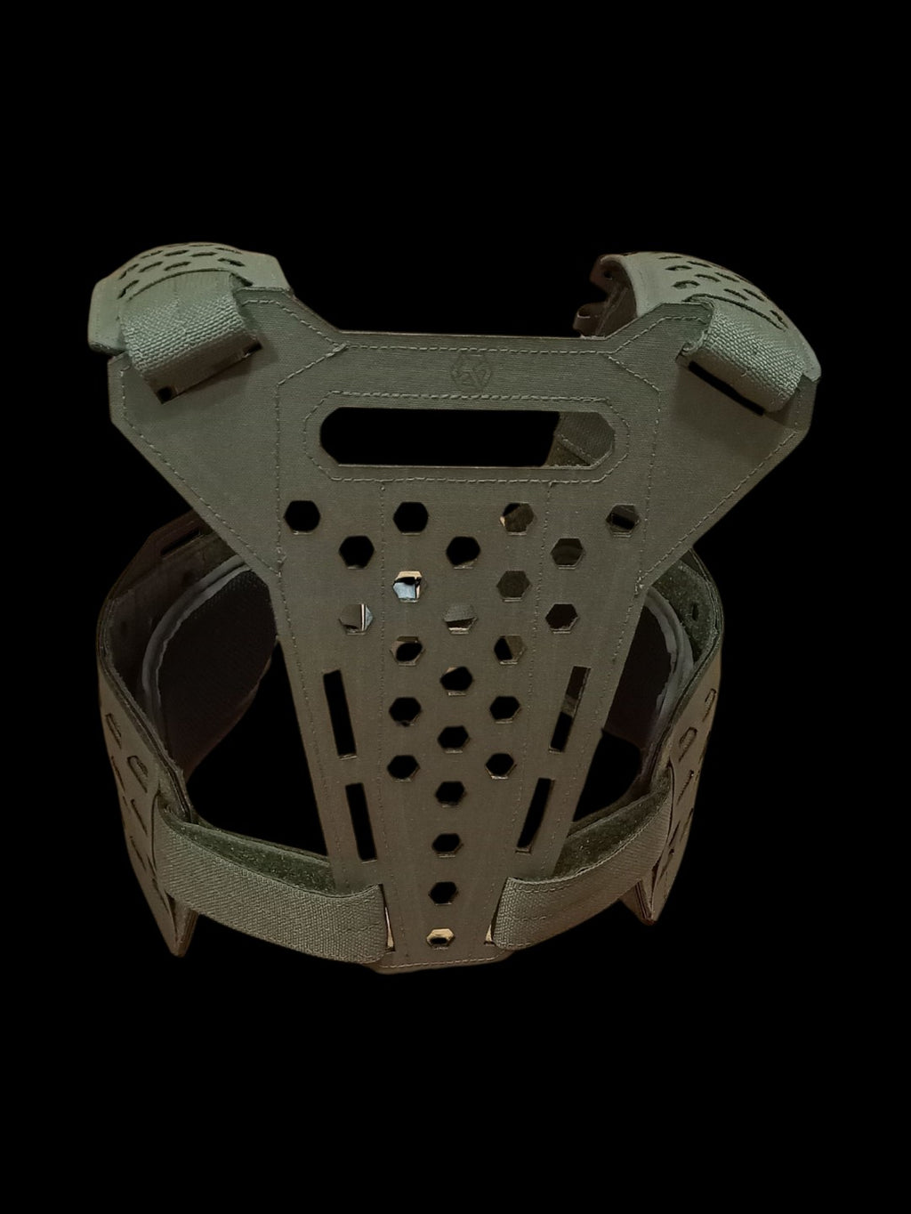 Modular Enhanced Chest rig
